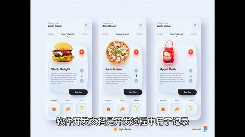 軟件外包開(kāi)發(fā)的開(kāi)發(fā)文檔