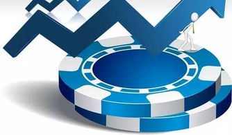 軟件開發(fā)公司有哪些能提供專業(yè)程度高的外包服務